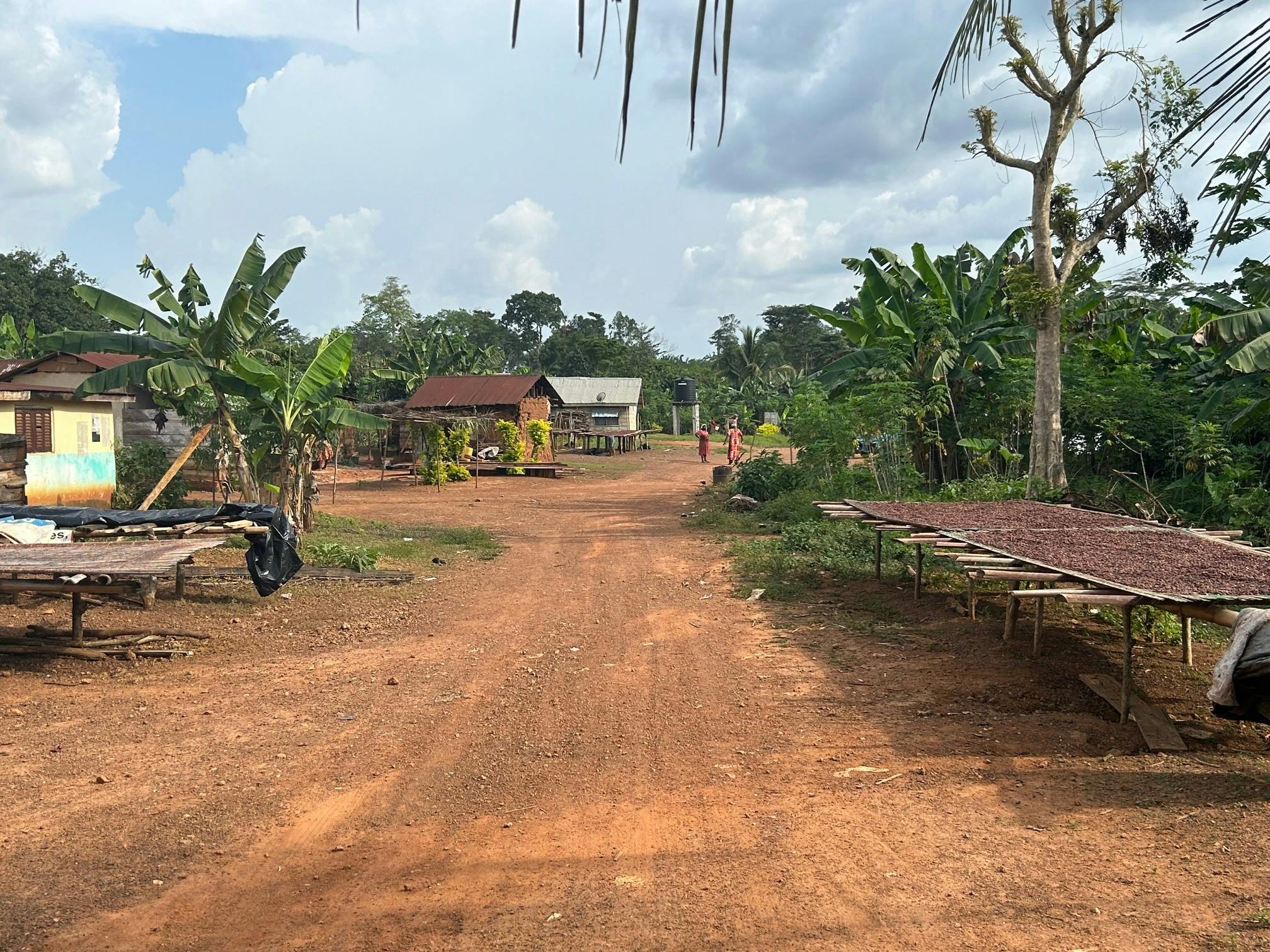 | Kumasi to Kakum National Park 