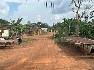 | Kumasi to Kakum National Park 