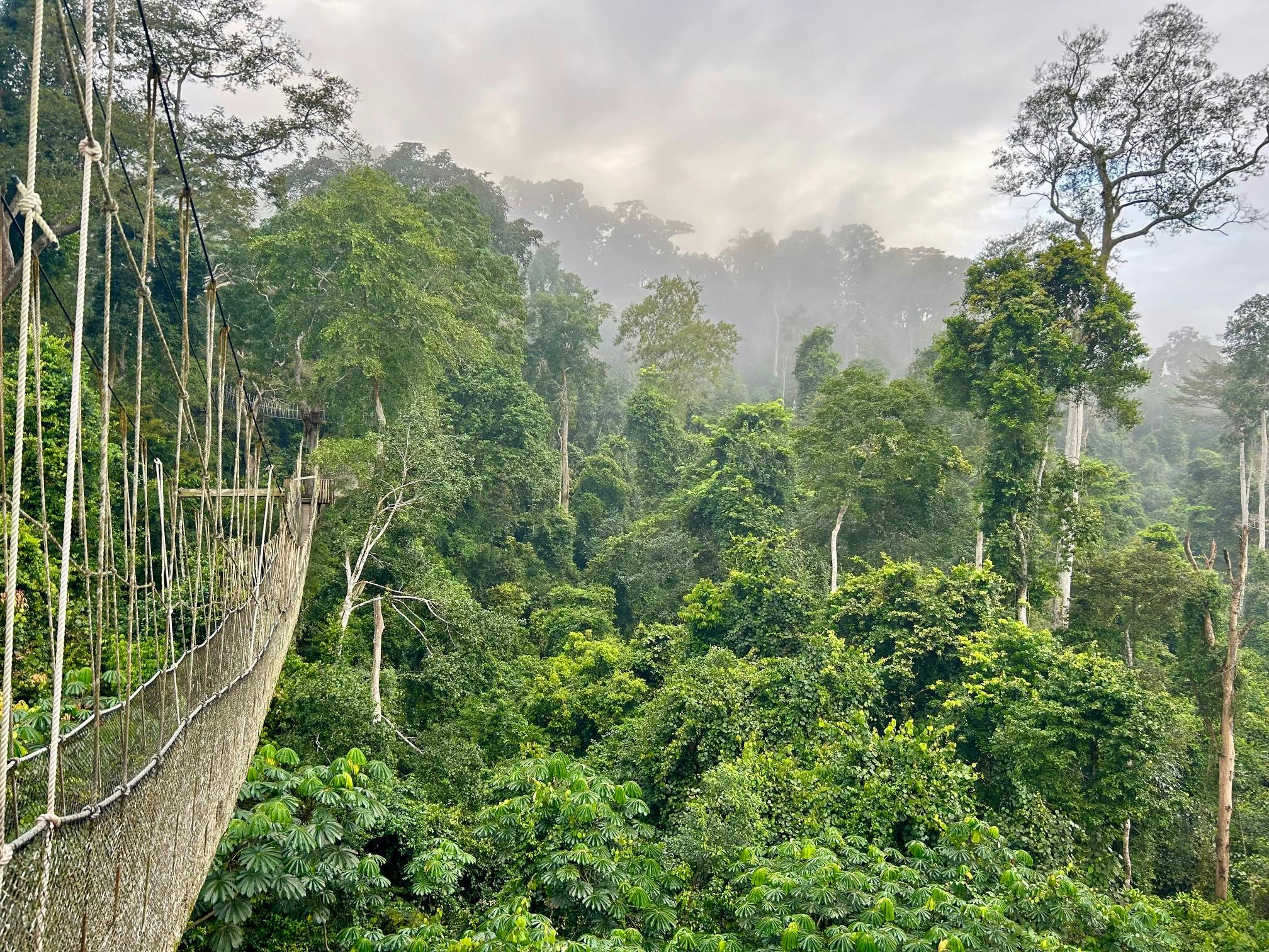 | Kakum National Park to Axim