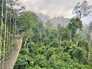 | Kakum National Park to Axim