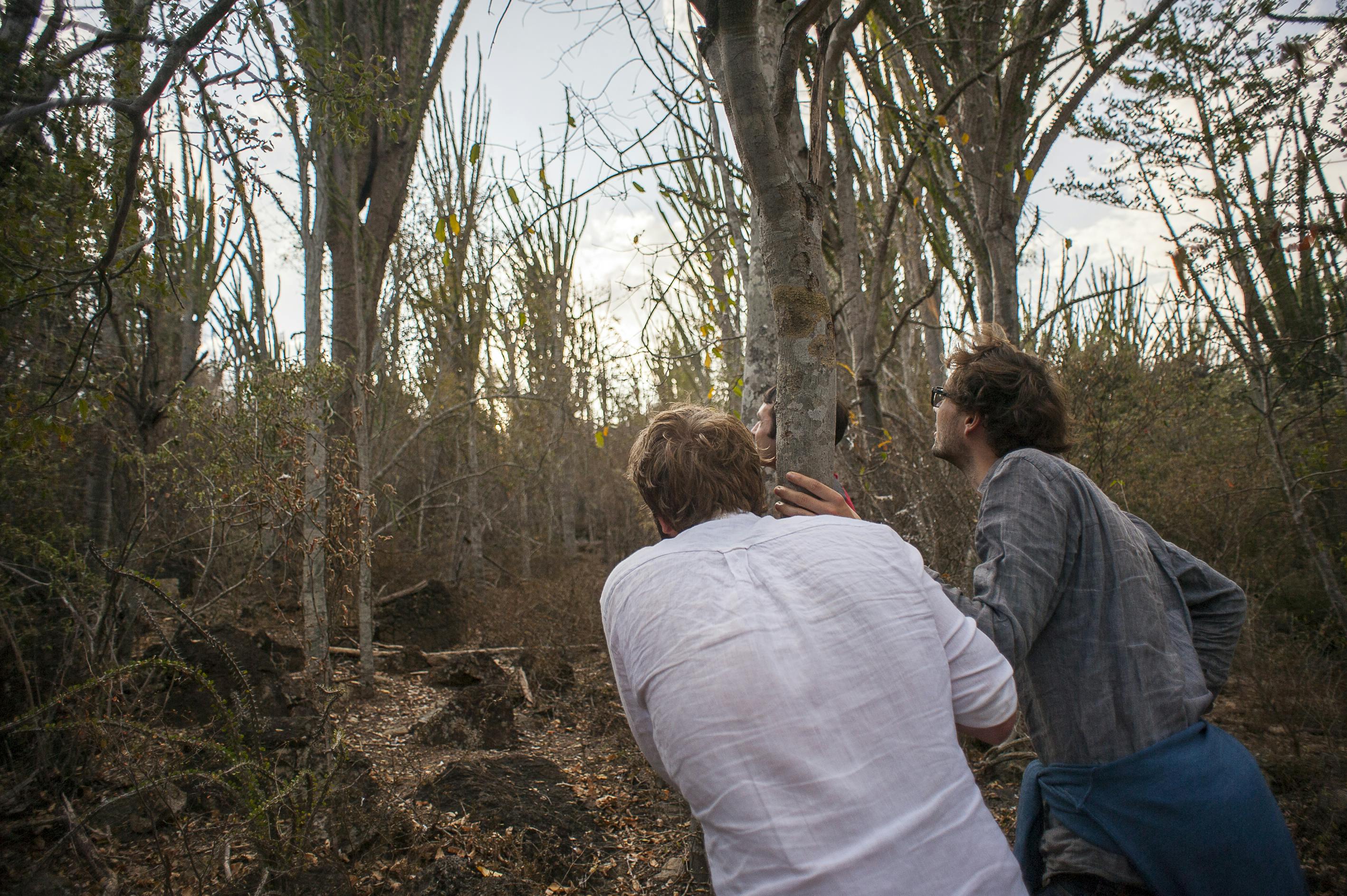 | Ifotaka & Surrounds