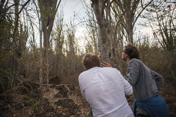 | Ifotaka & Surrounds