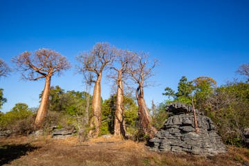 | Antananarivo to Namoroka Tsingy Camp