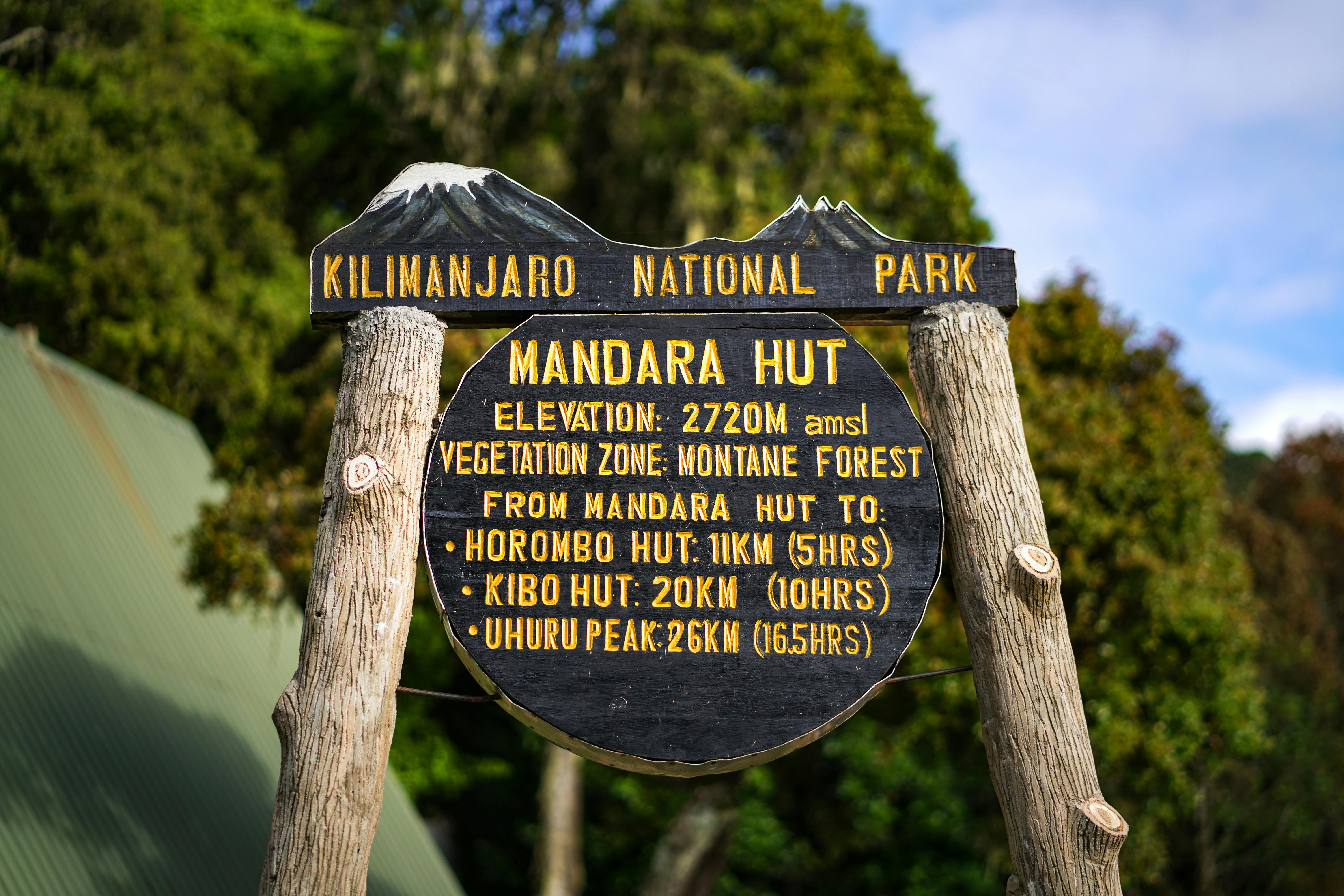 | Kilimanjaro 