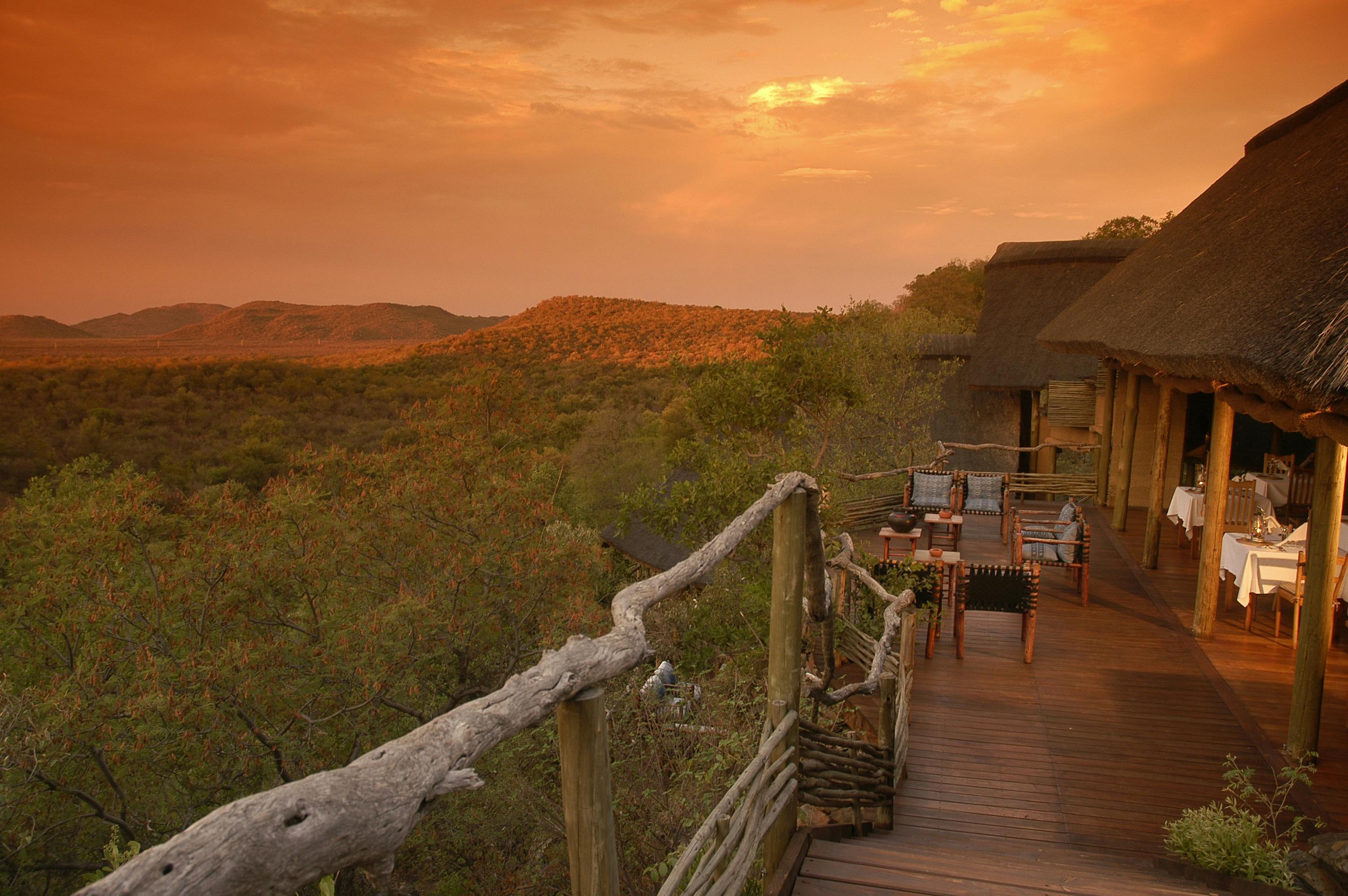 Madikwe Safari