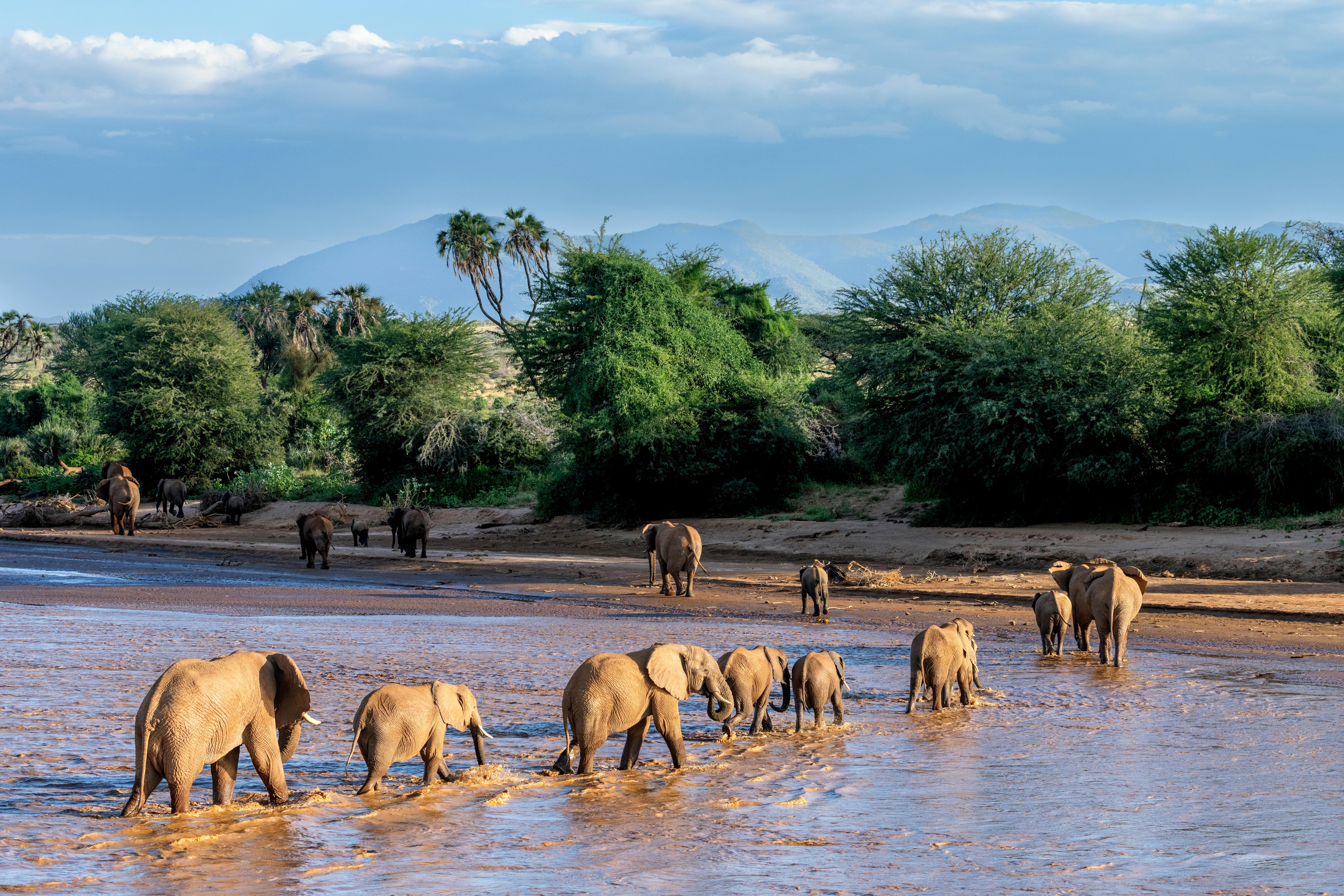 | Samburu National Park
