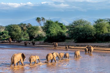 | Samburu National Park