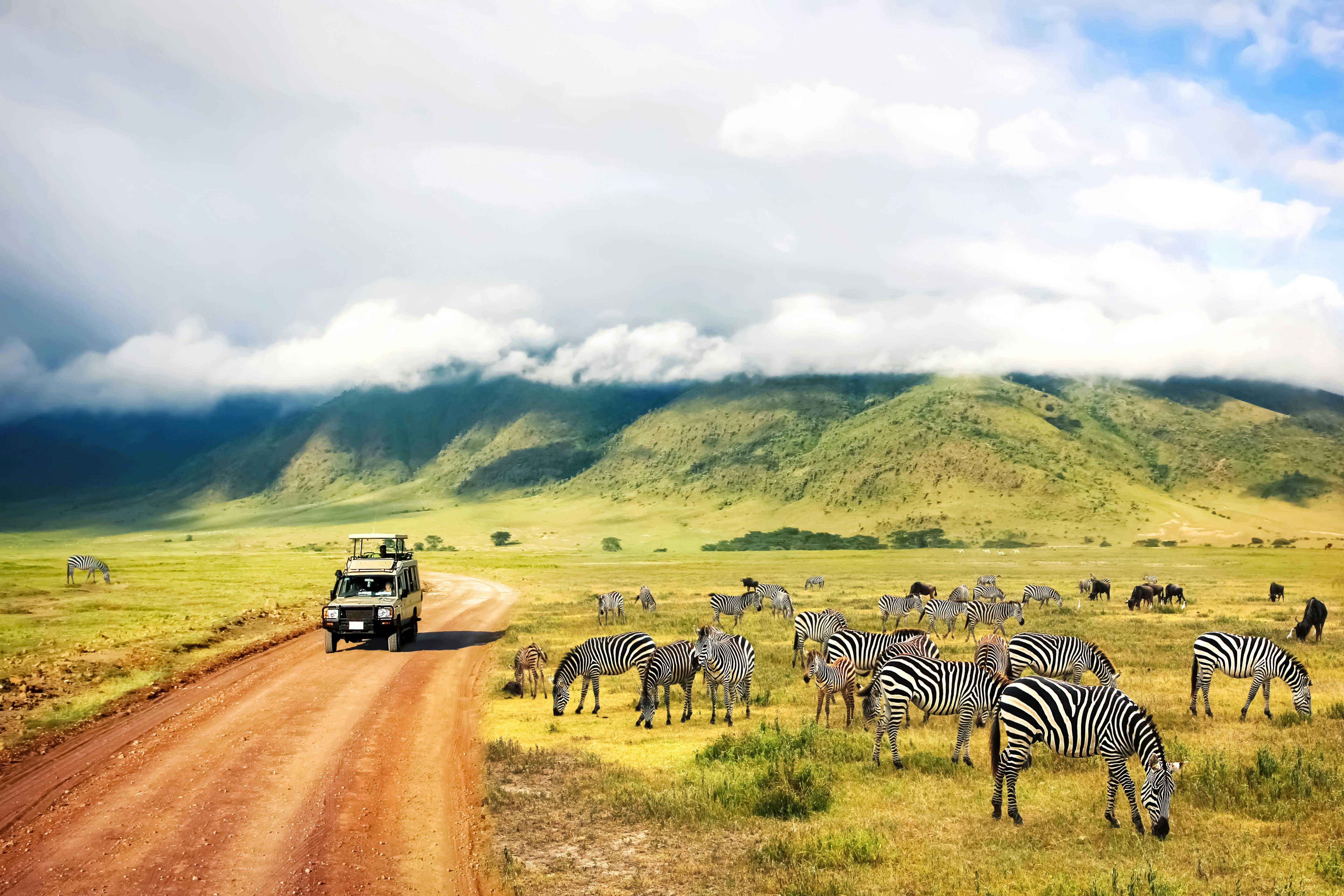 | Ngorongoro Crater