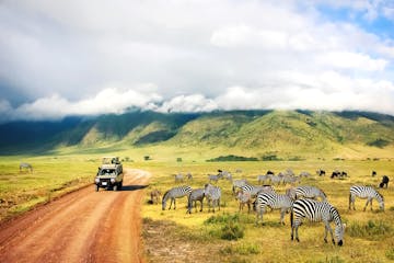 | Ngorongoro Crater