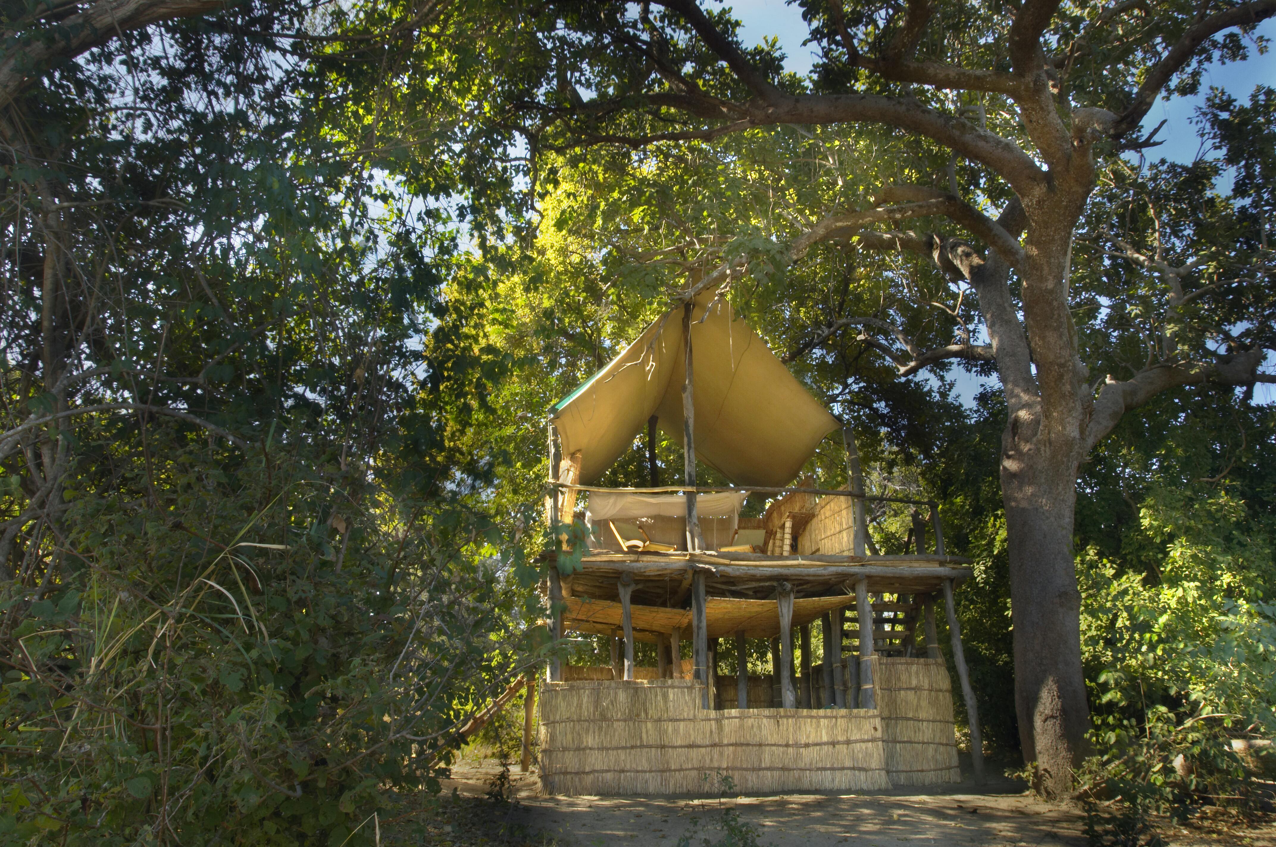 Chikoko Tree Camp