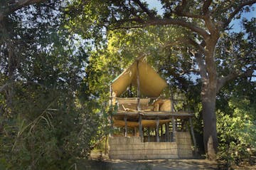Chikoko Tree Camp