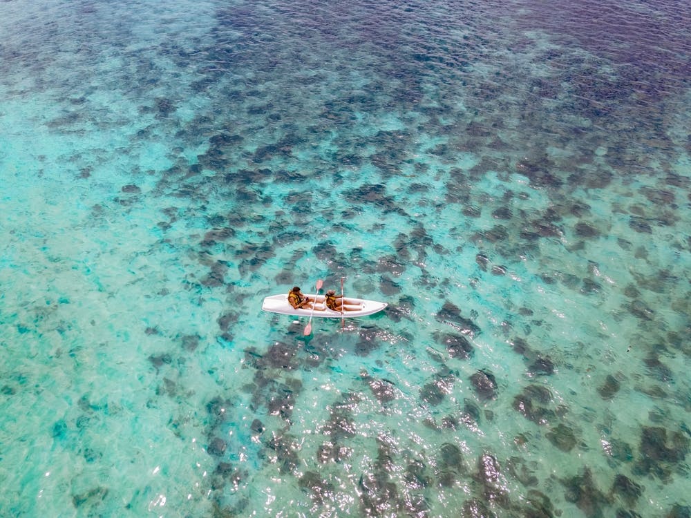 | Fly Rodrigues to Mauritius