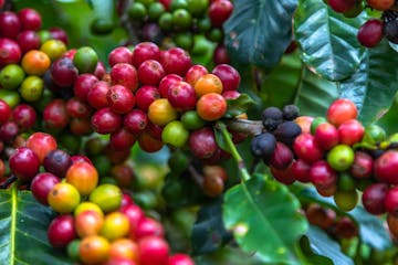 | Antigua to Lake Atitlan