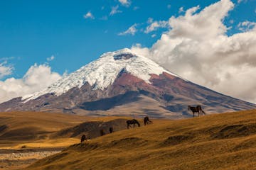 | Otavalo to Cotopaxi