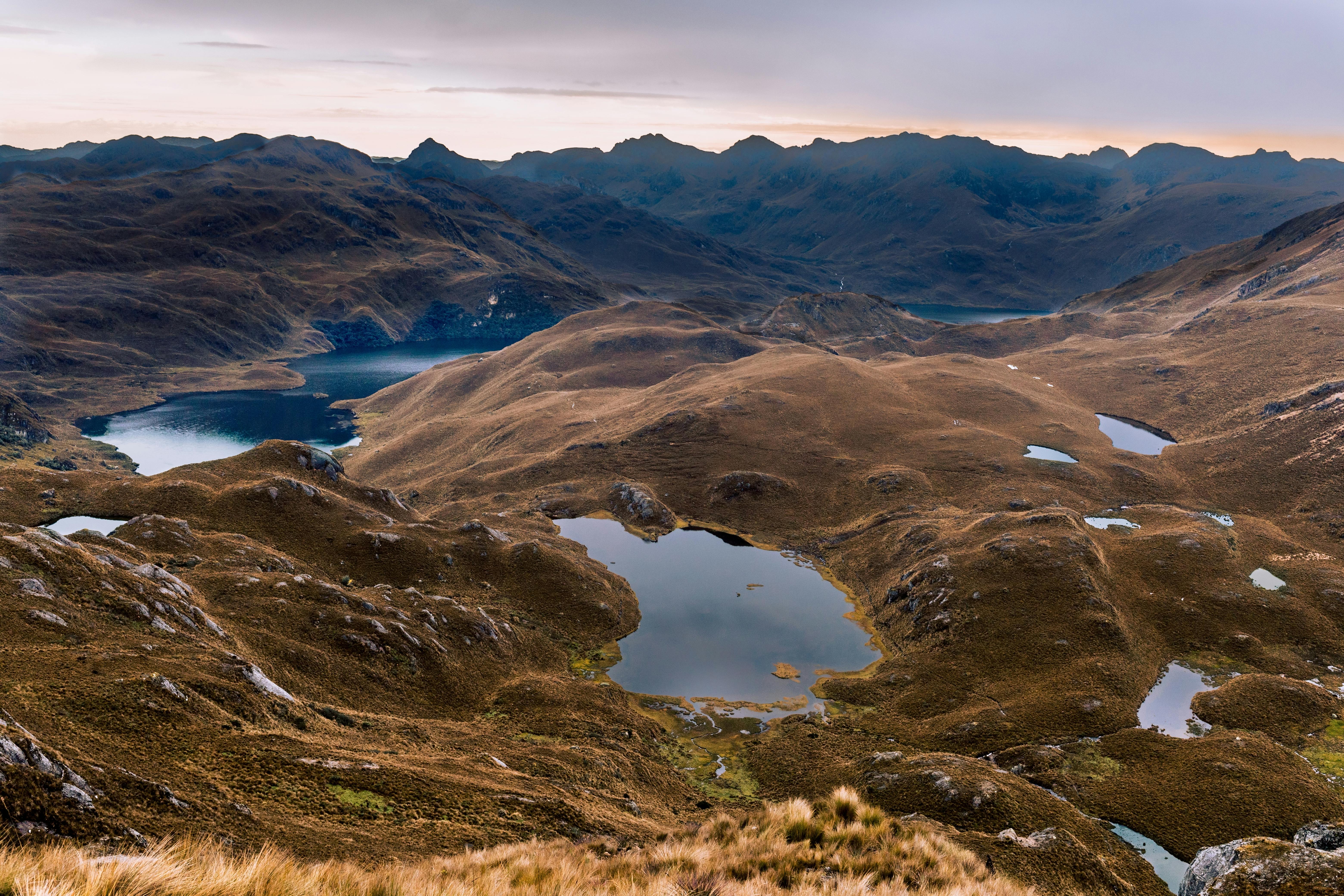 | Cajas National Park