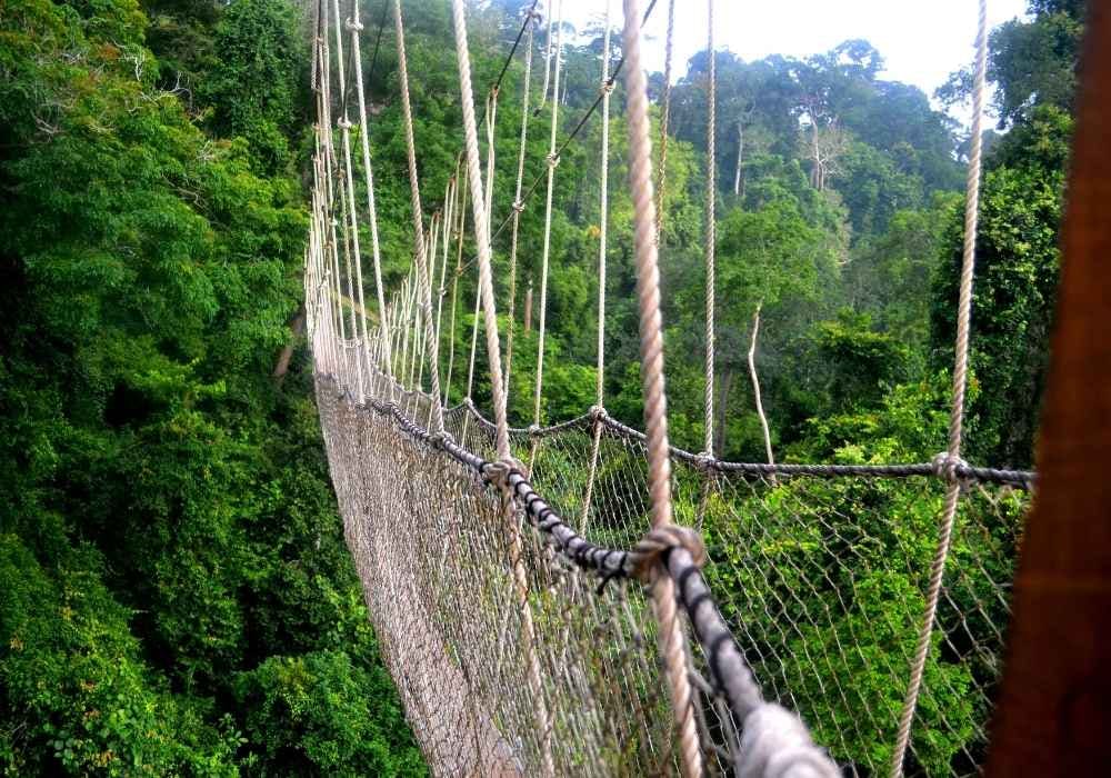 Ghana and Sao Tome & Principe Holiday image 1