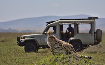 | Mara North Conservancy, Masai Mara