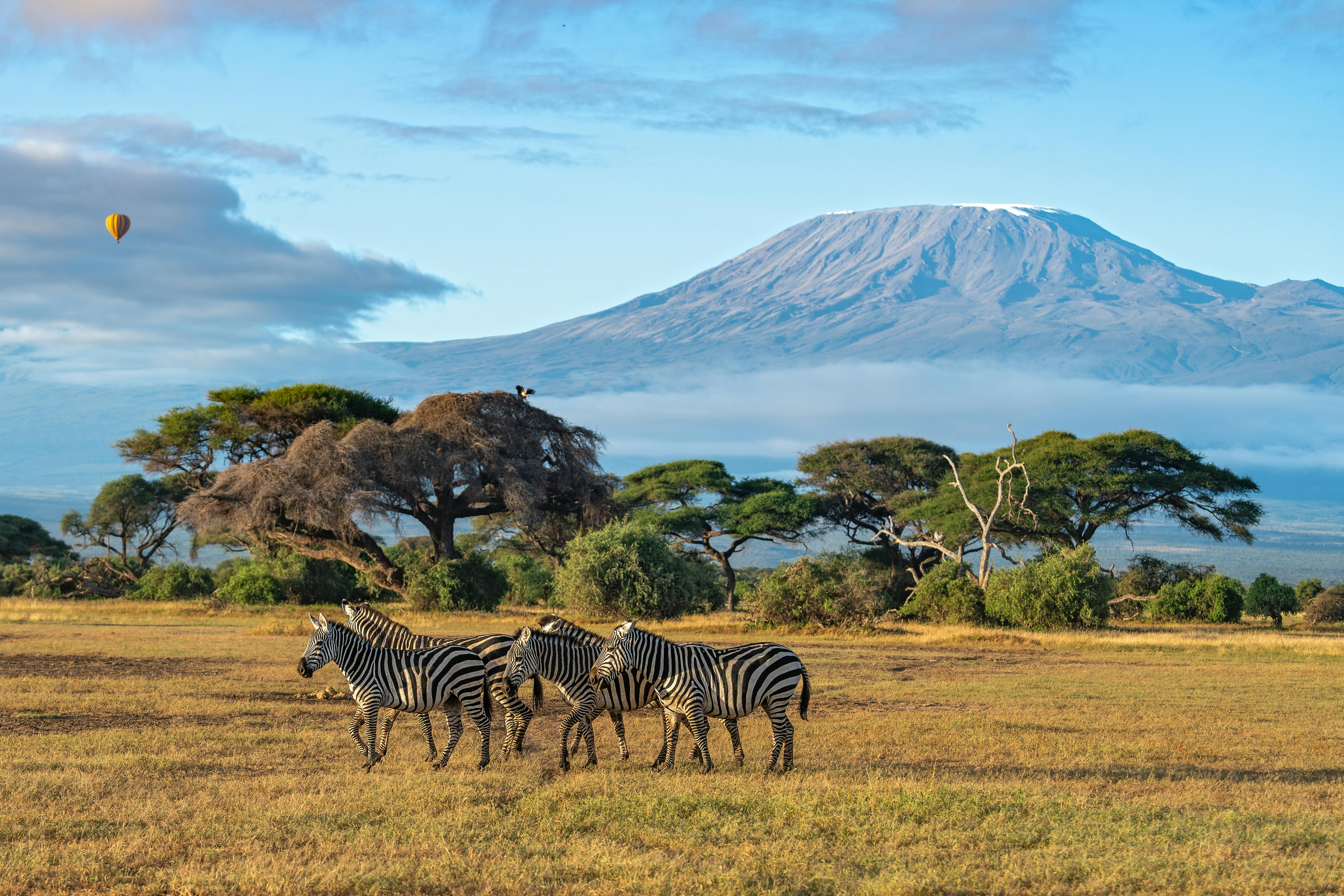 | Amboseli