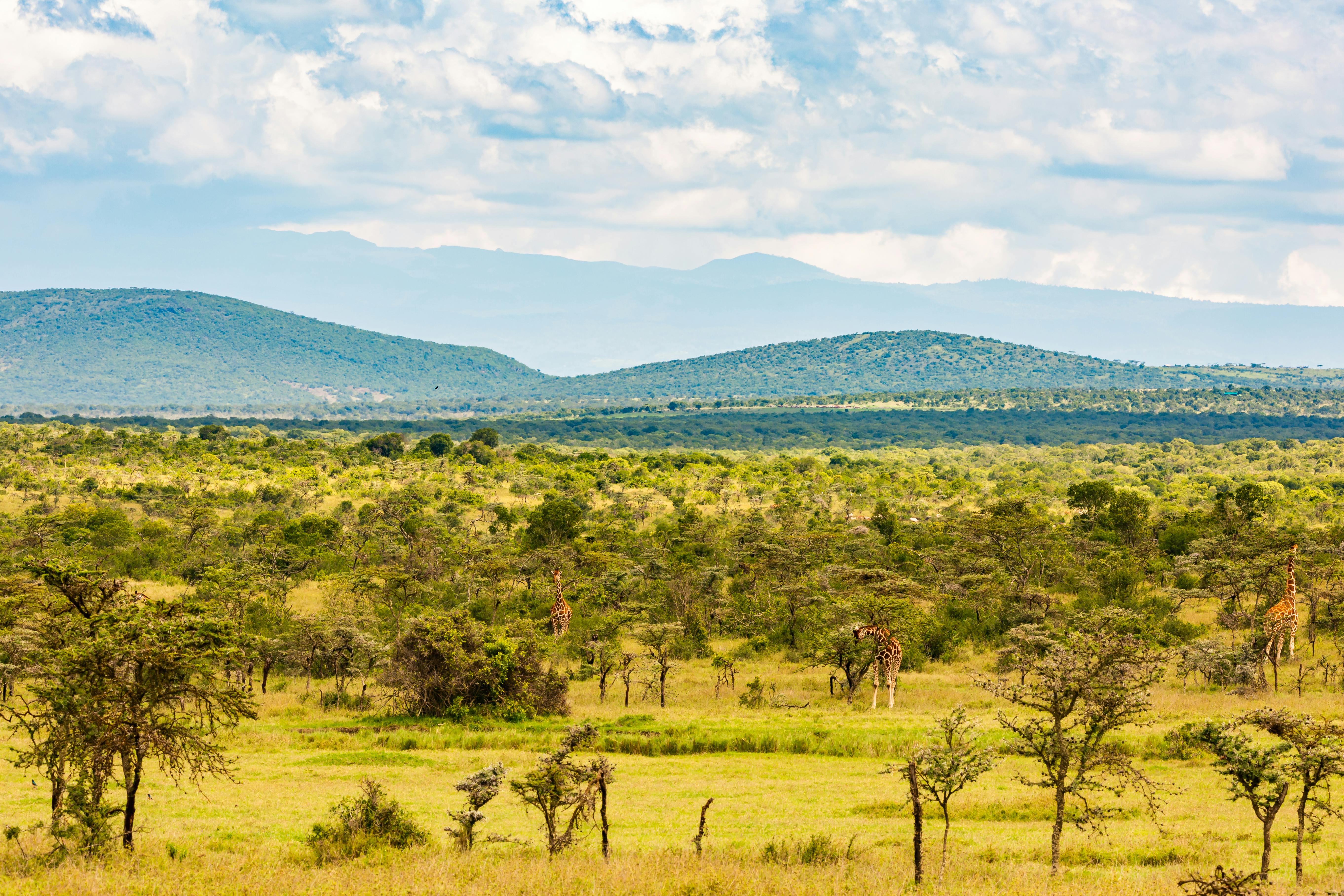 | Samburu to Laikipia