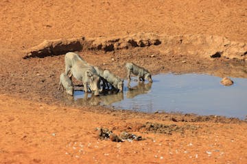 | Nairobi to Selenkay Conservancy