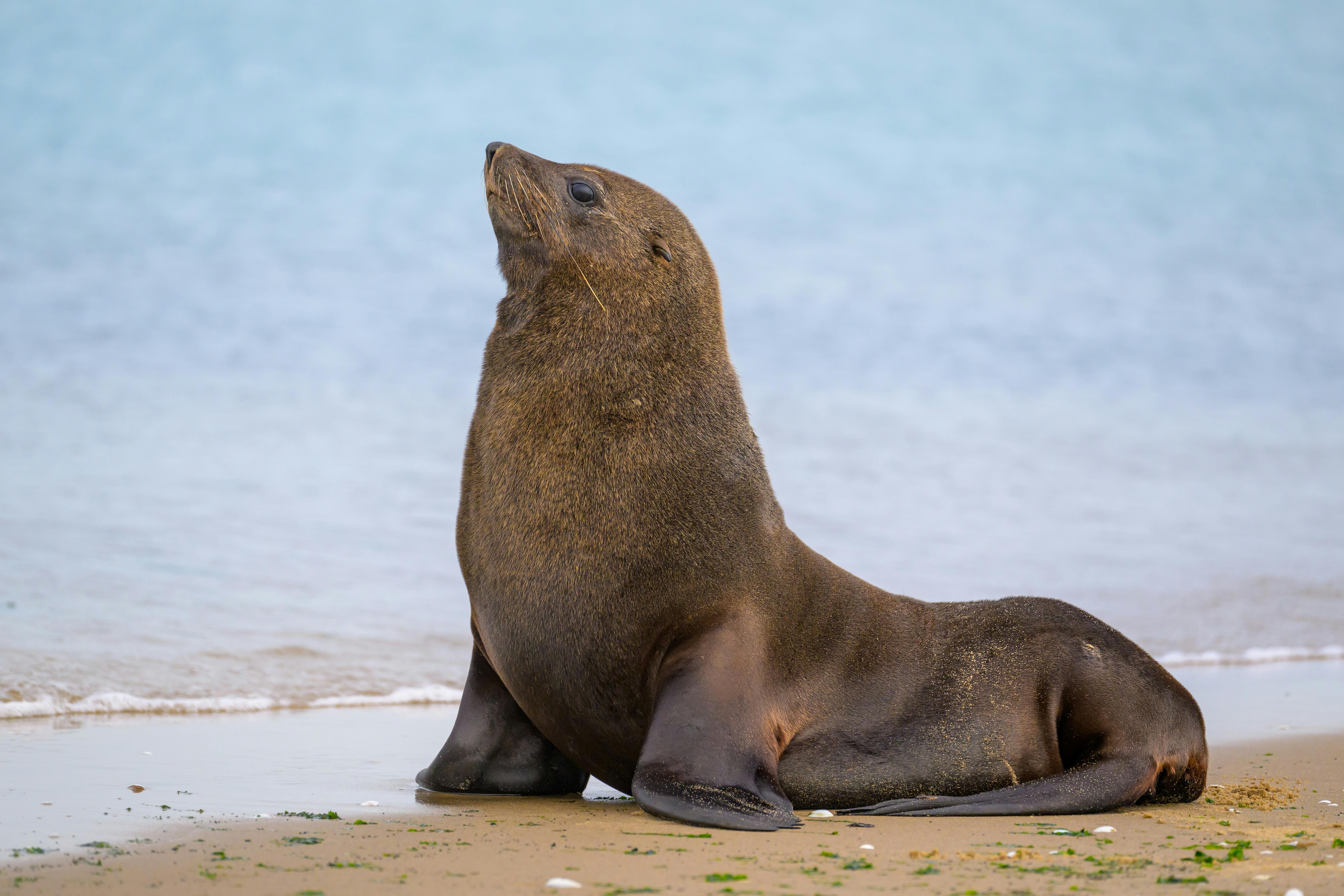 | Walvis Bay, Swakopmund