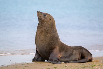 | Walvis Bay, Swakopmund