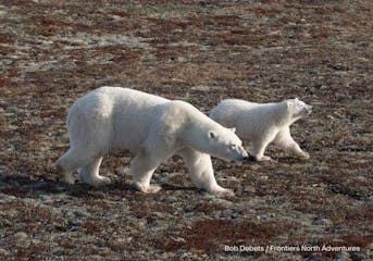 | Winnipeg to Churchill