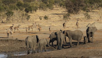 | Hwange National Park, South West