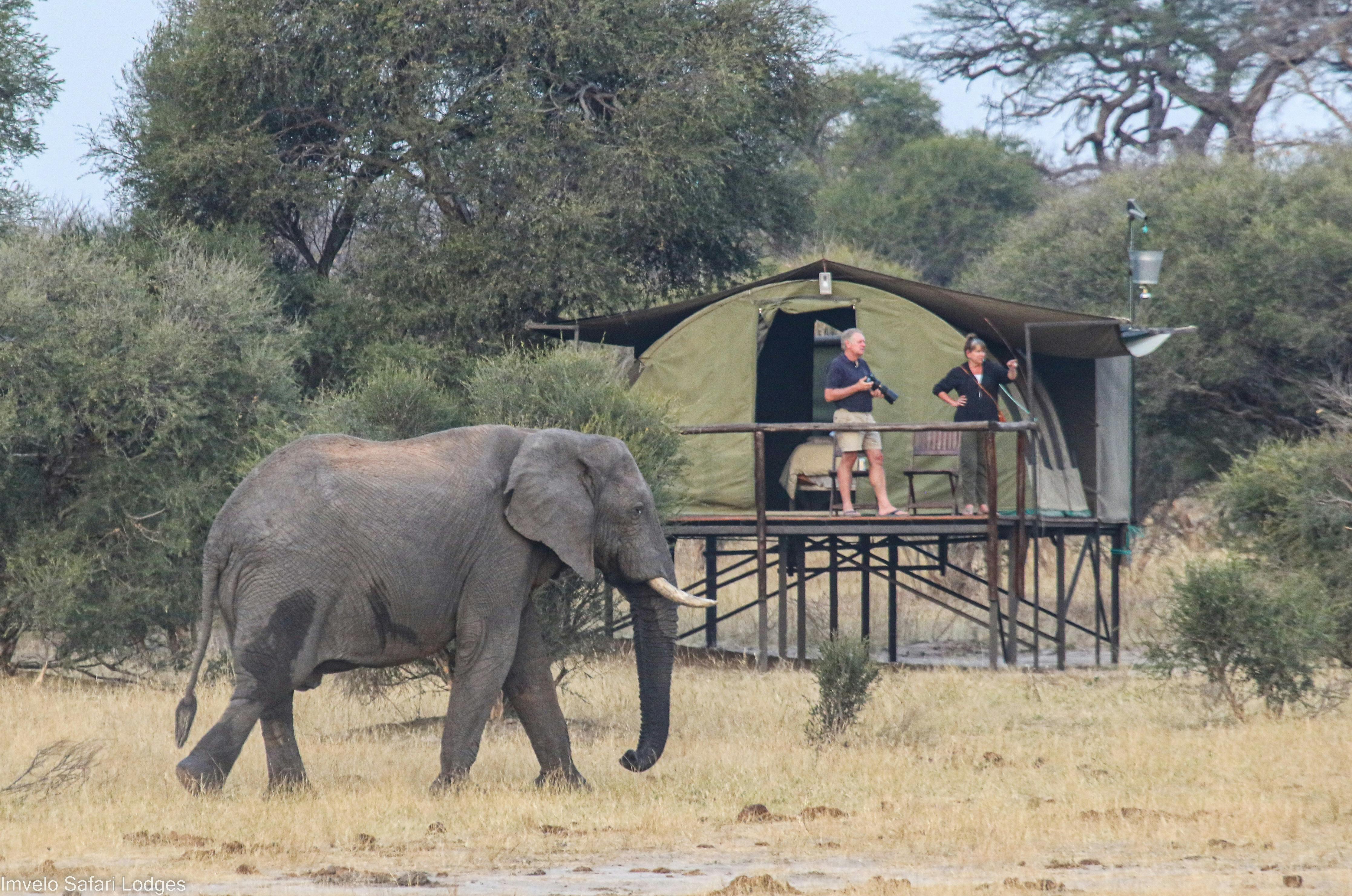| Hwange National Park, South West