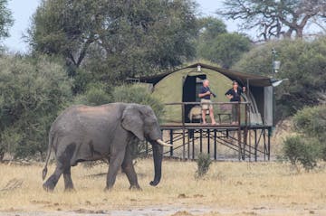 | Hwange National Park, South West