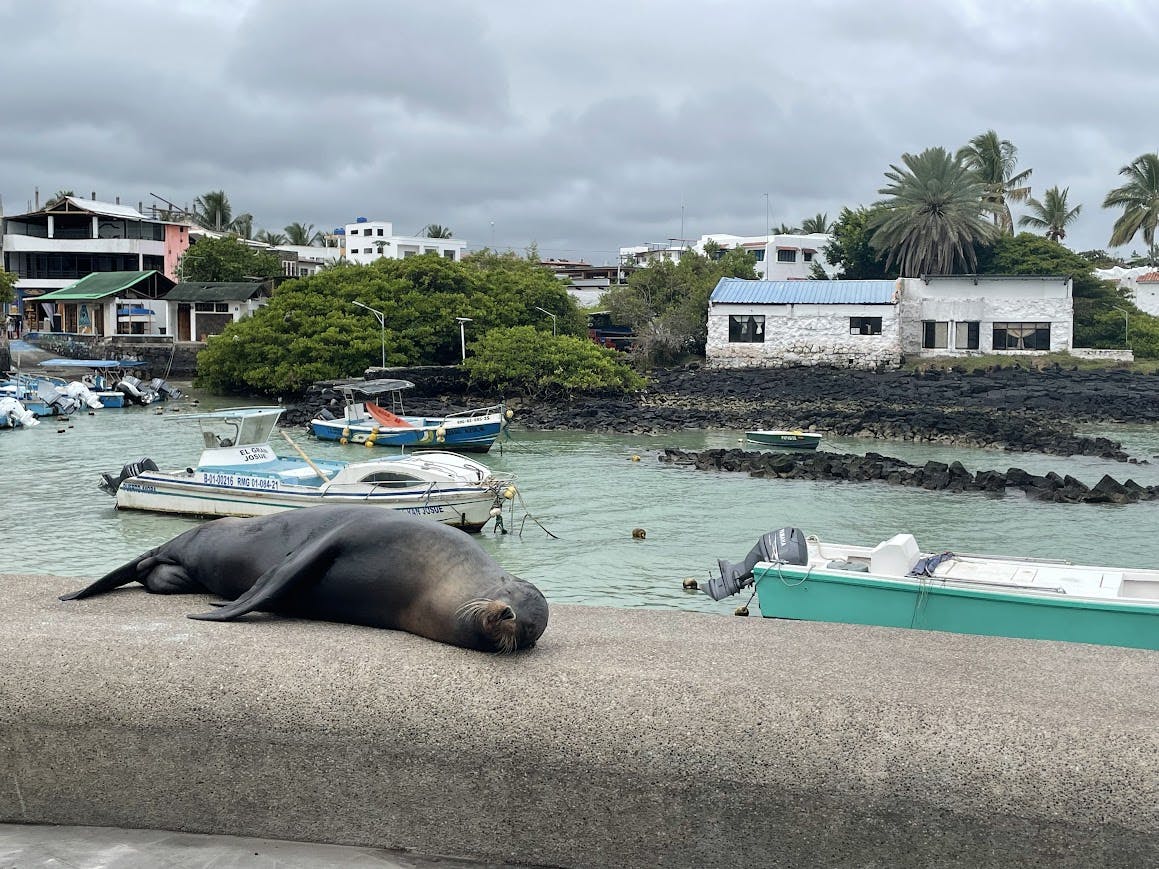 Travel Expert Q&A: Ecuador & The Galapagos Islands