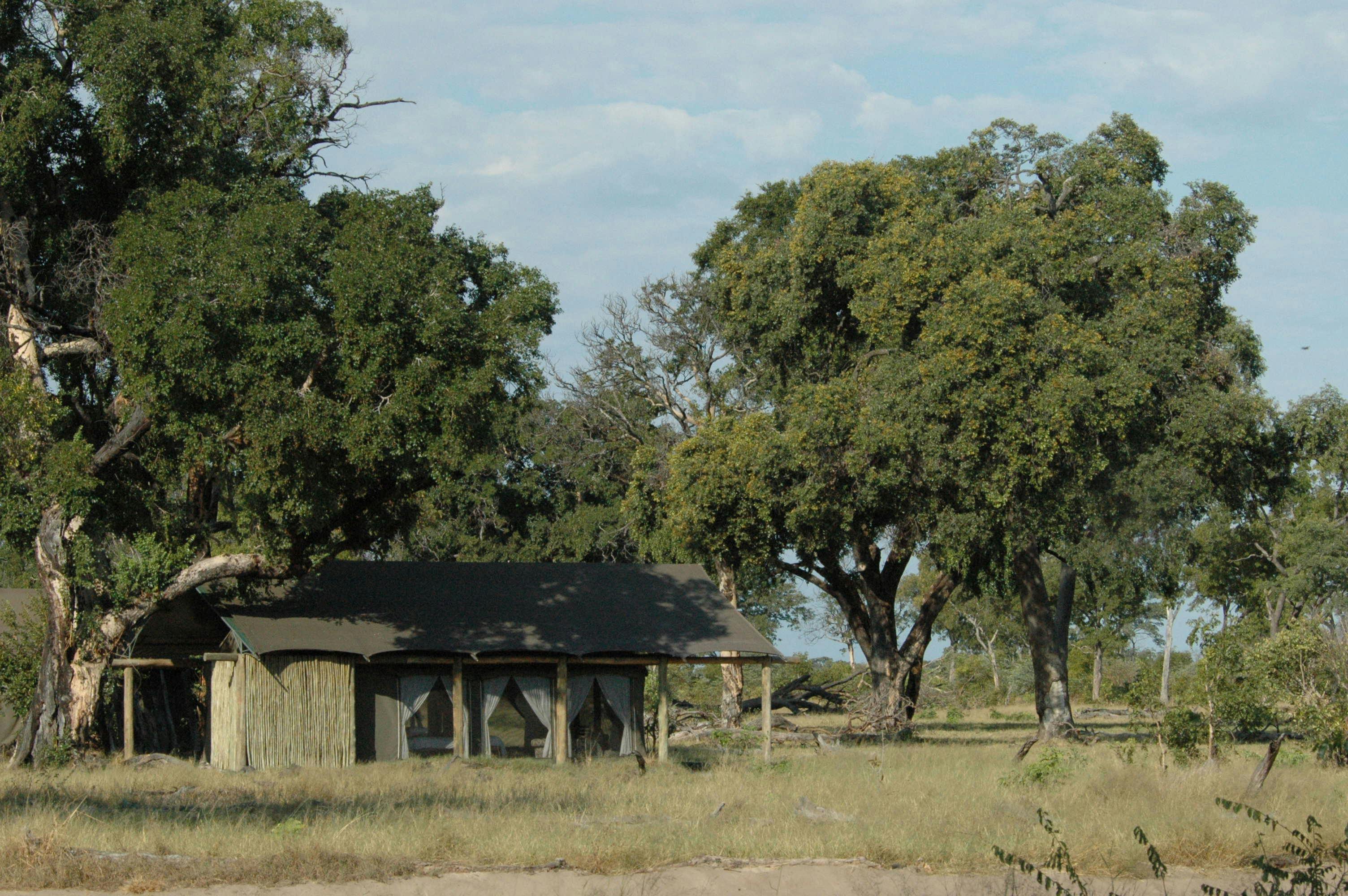 Davison’s Camp image 1