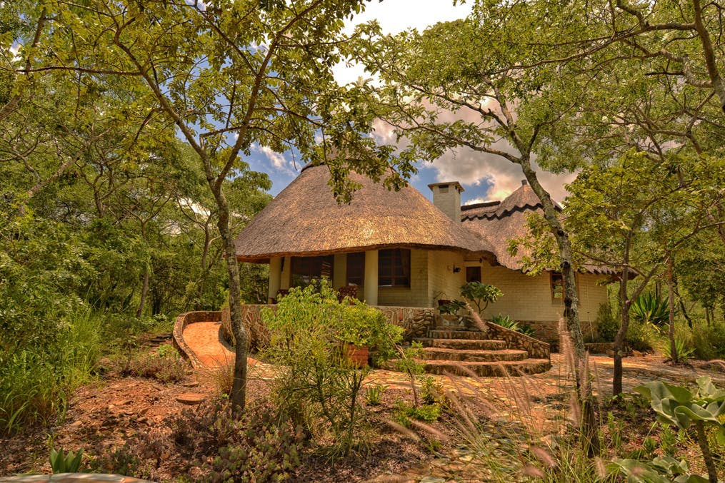 Musango Safari Camp image 1