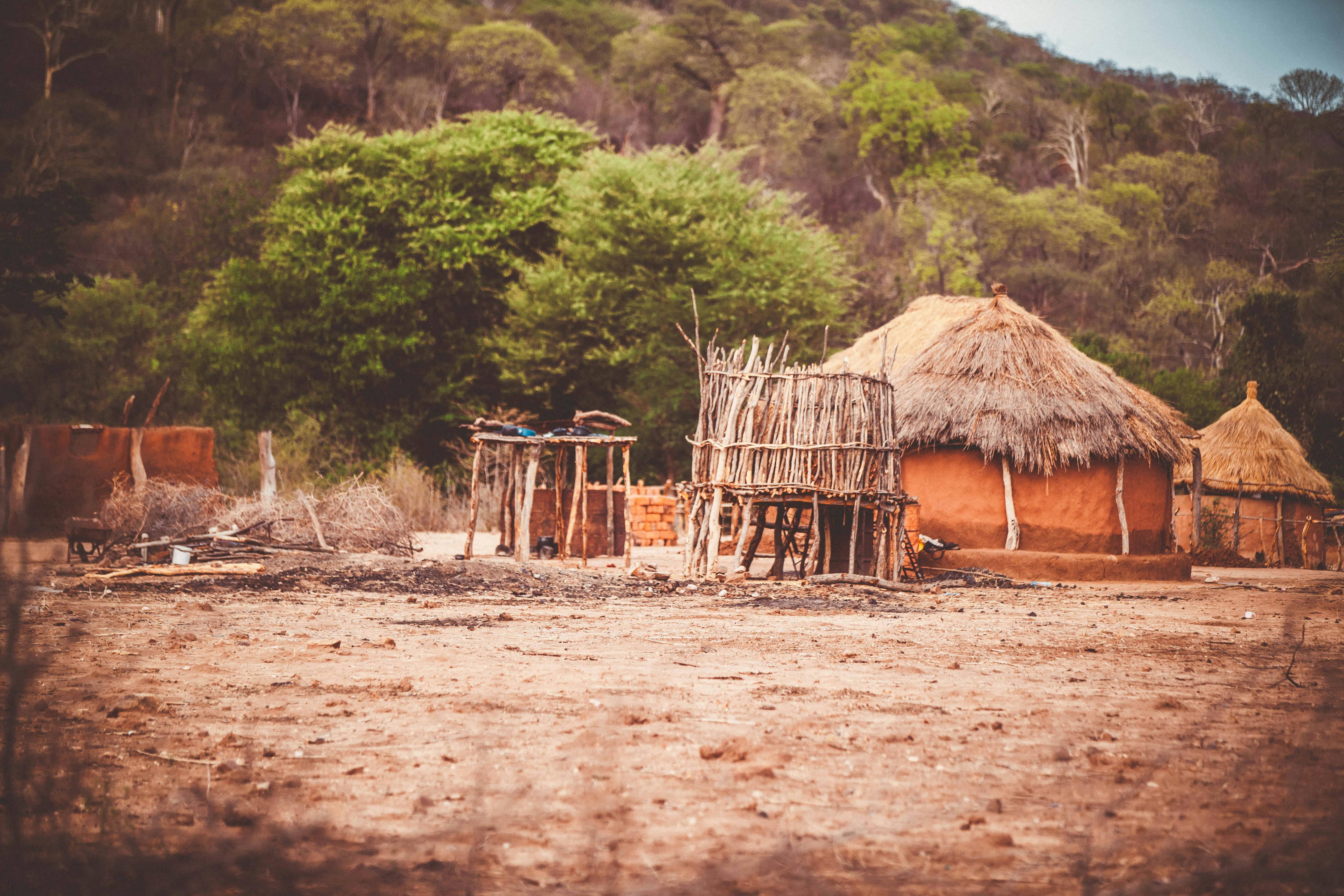 | Hwange National Park