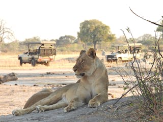| Victoria Falls to Hwange National Park