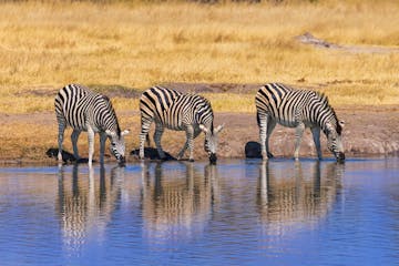 | Hwange National Park