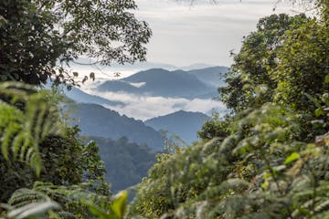 | 9 September 2026 | Kibale - Bwindi Impenetrable National Park