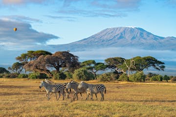 | Amboseli National Park