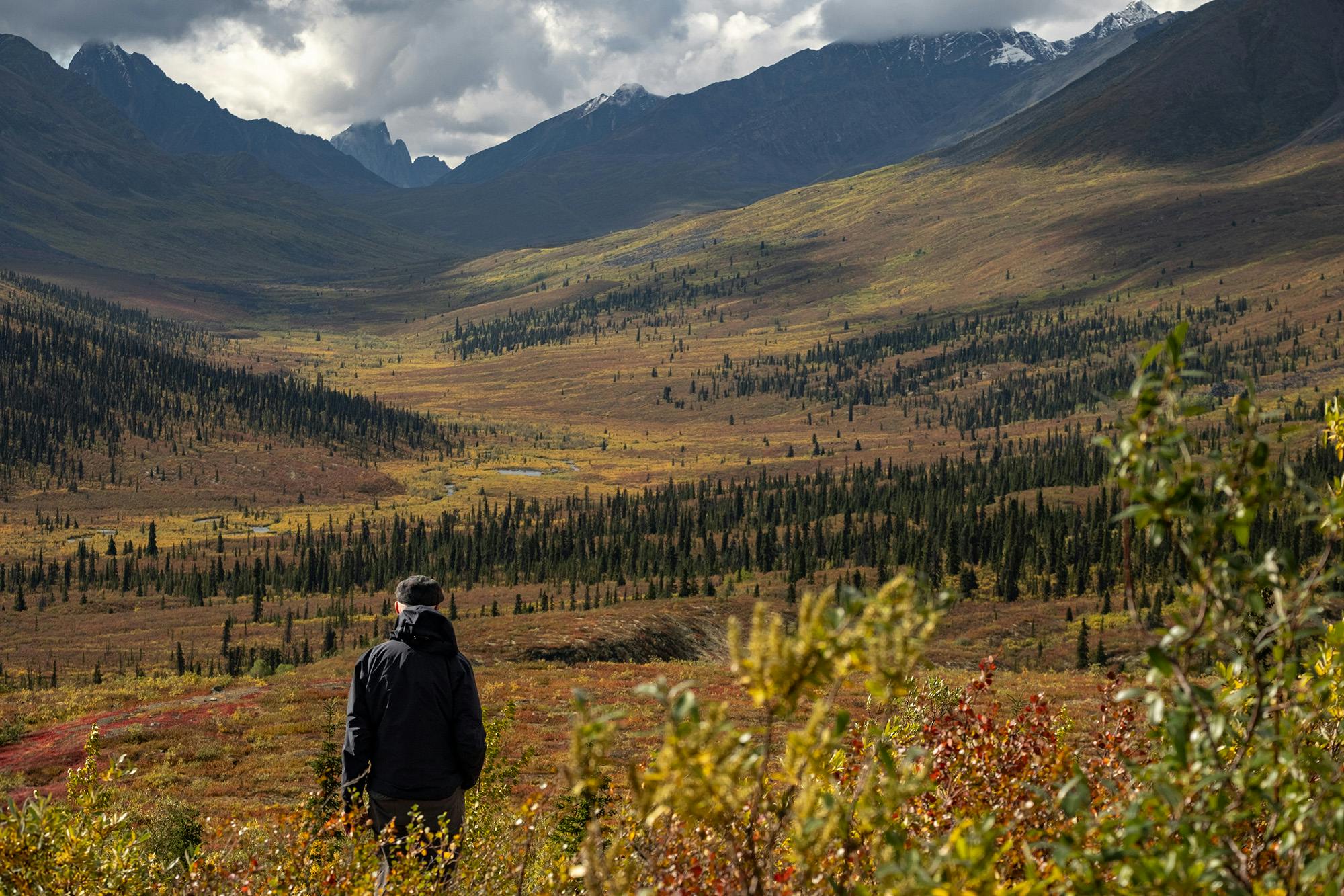 | Tombstone Territorial Park