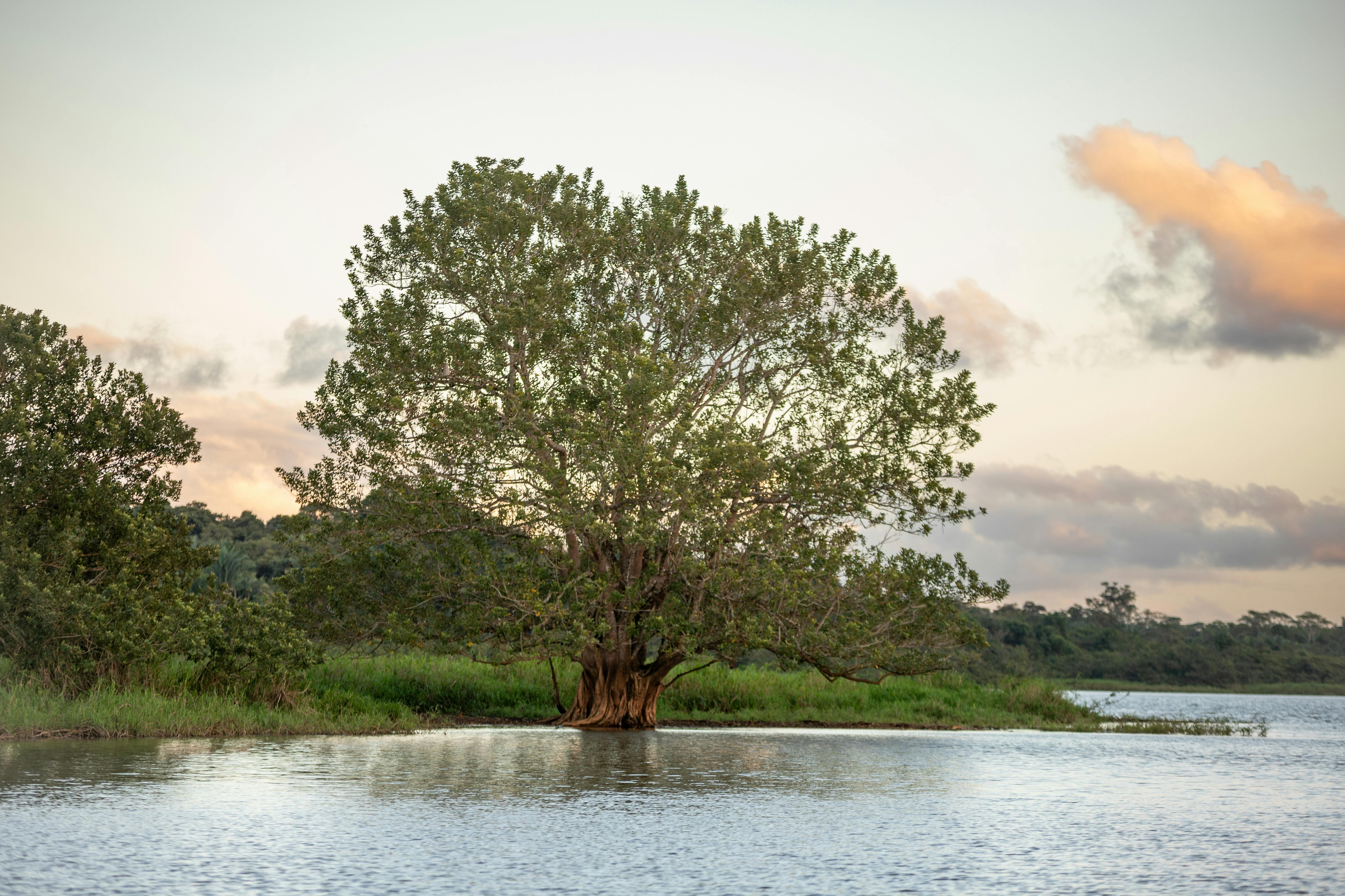 San Jose - Caño Negro 