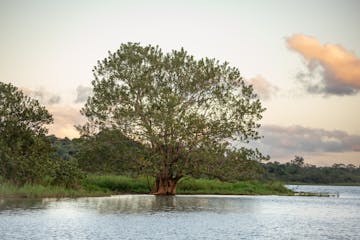 San Jose - Caño Negro 