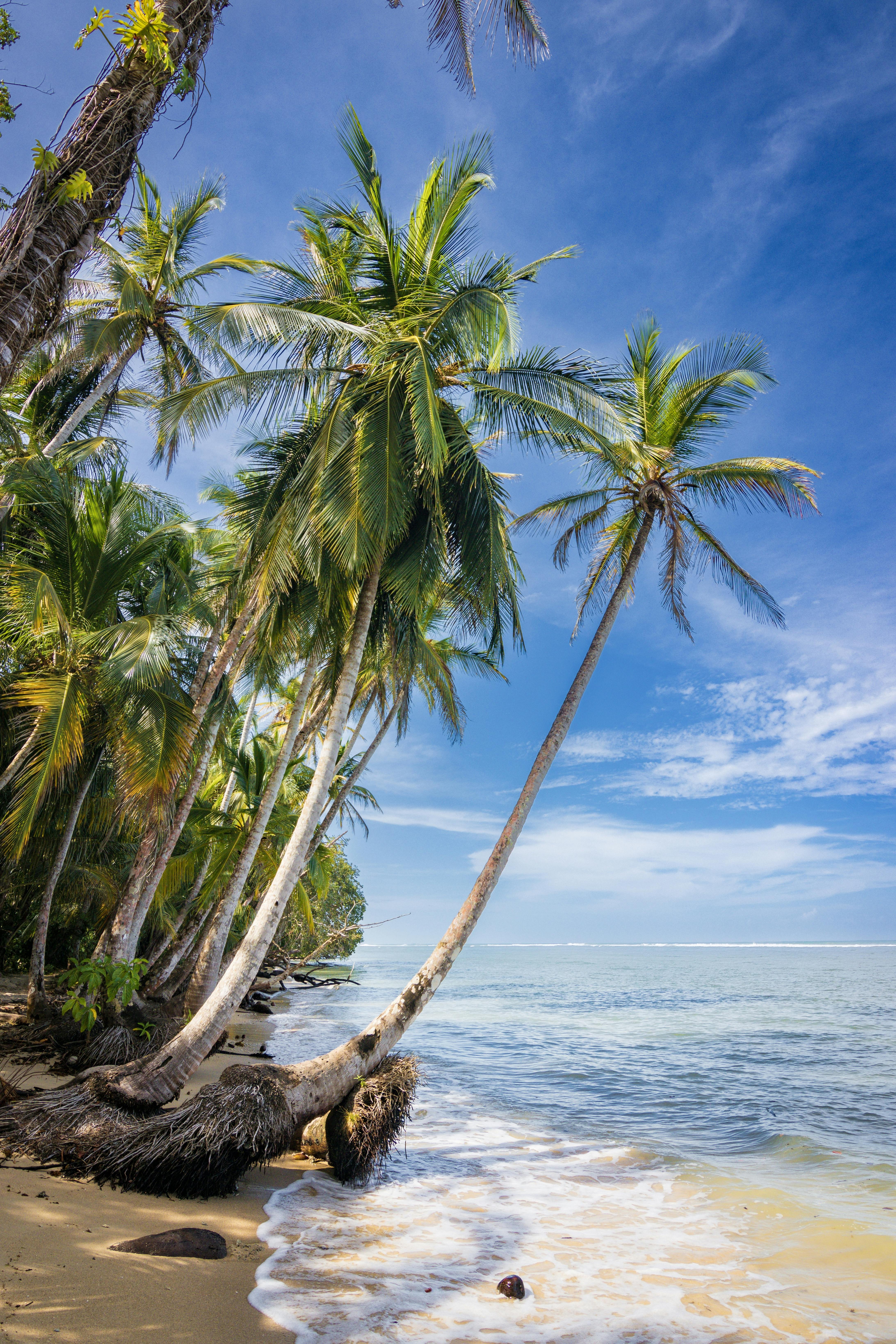 Caño Negro to the Southern Caribbean Coast