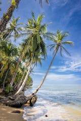Caño Negro to the Southern Caribbean Coast
