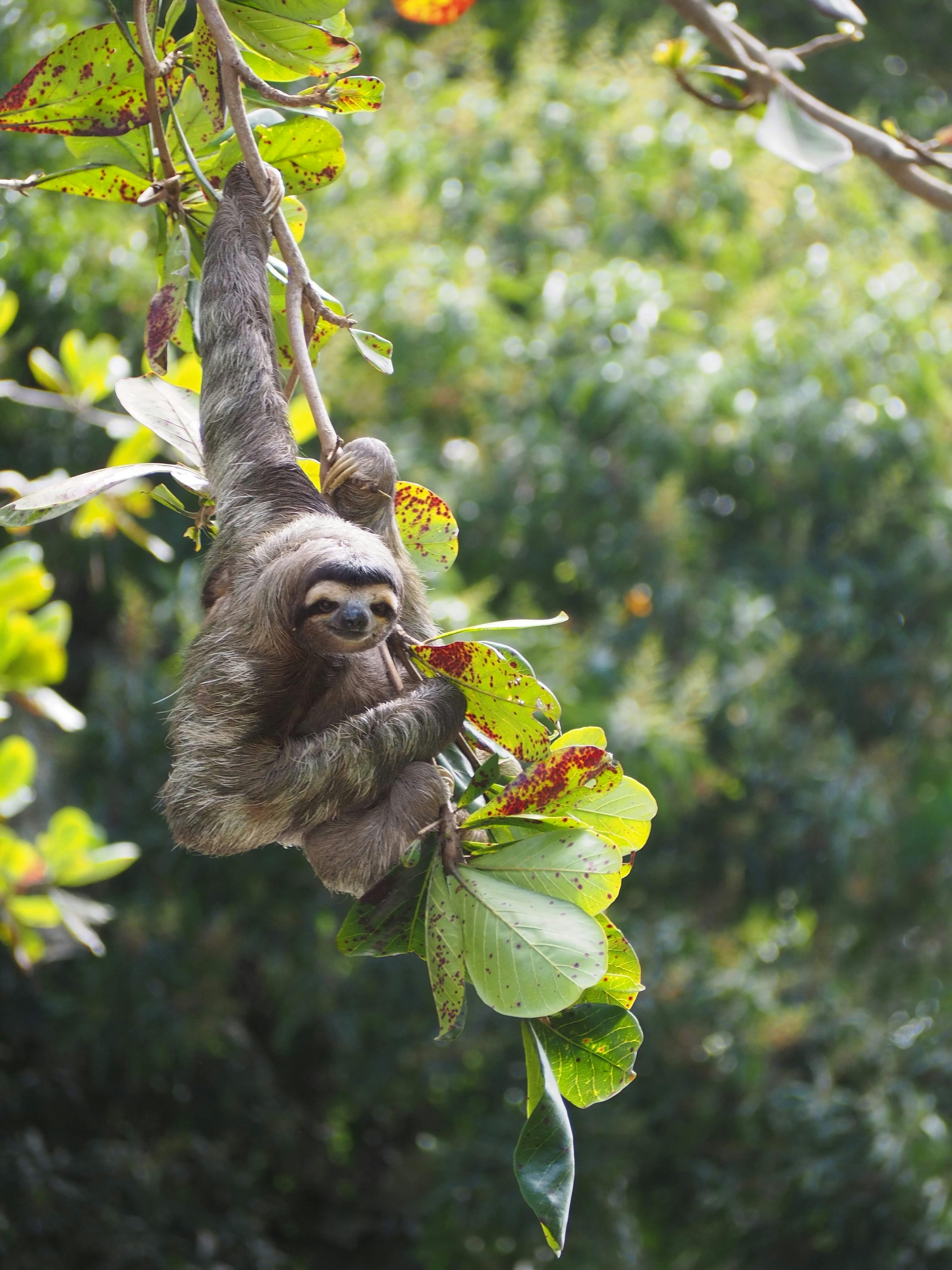 Cahuita National Park