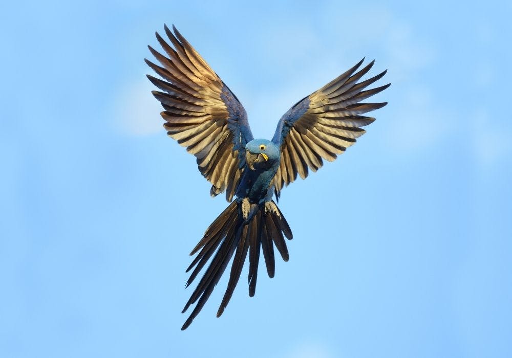 Top 10 Unmissable Nature Experiences to Book Now for 2026