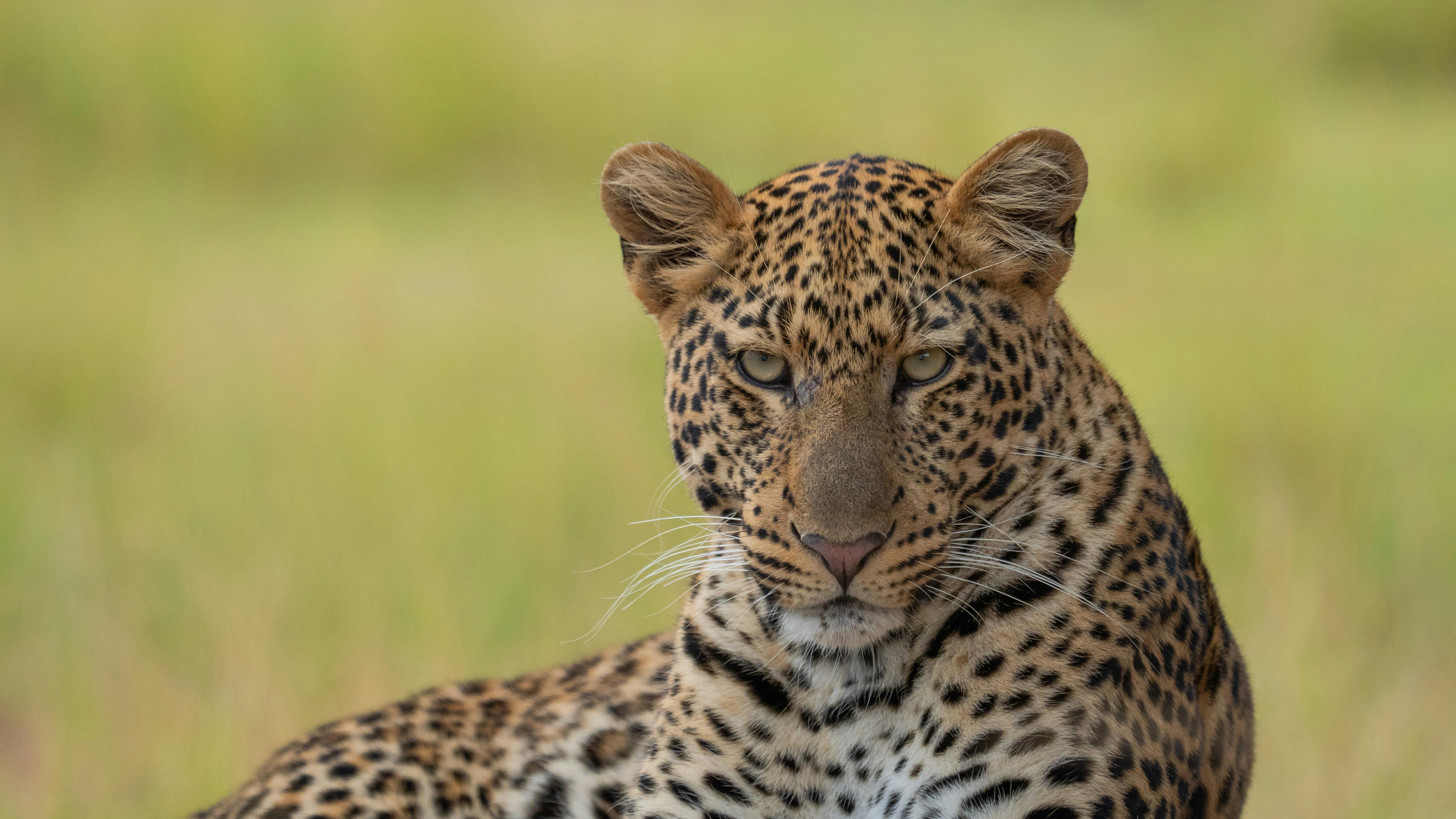 | Akagera National Park