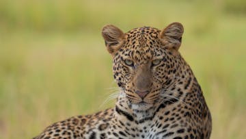 | Akagera National Park