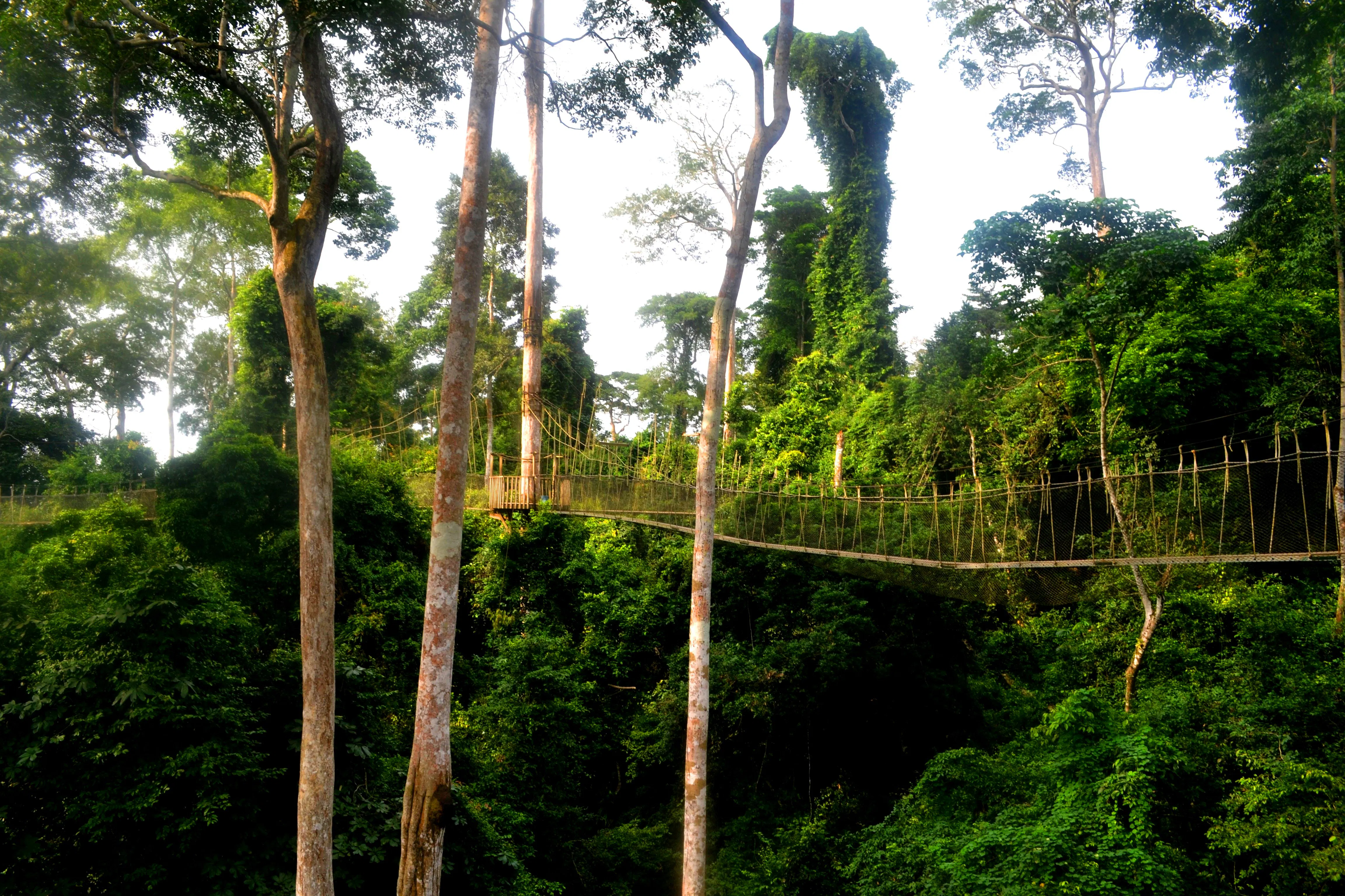 10 Essential Ghana Highlights for First-Time Visitors with Philip Briggs