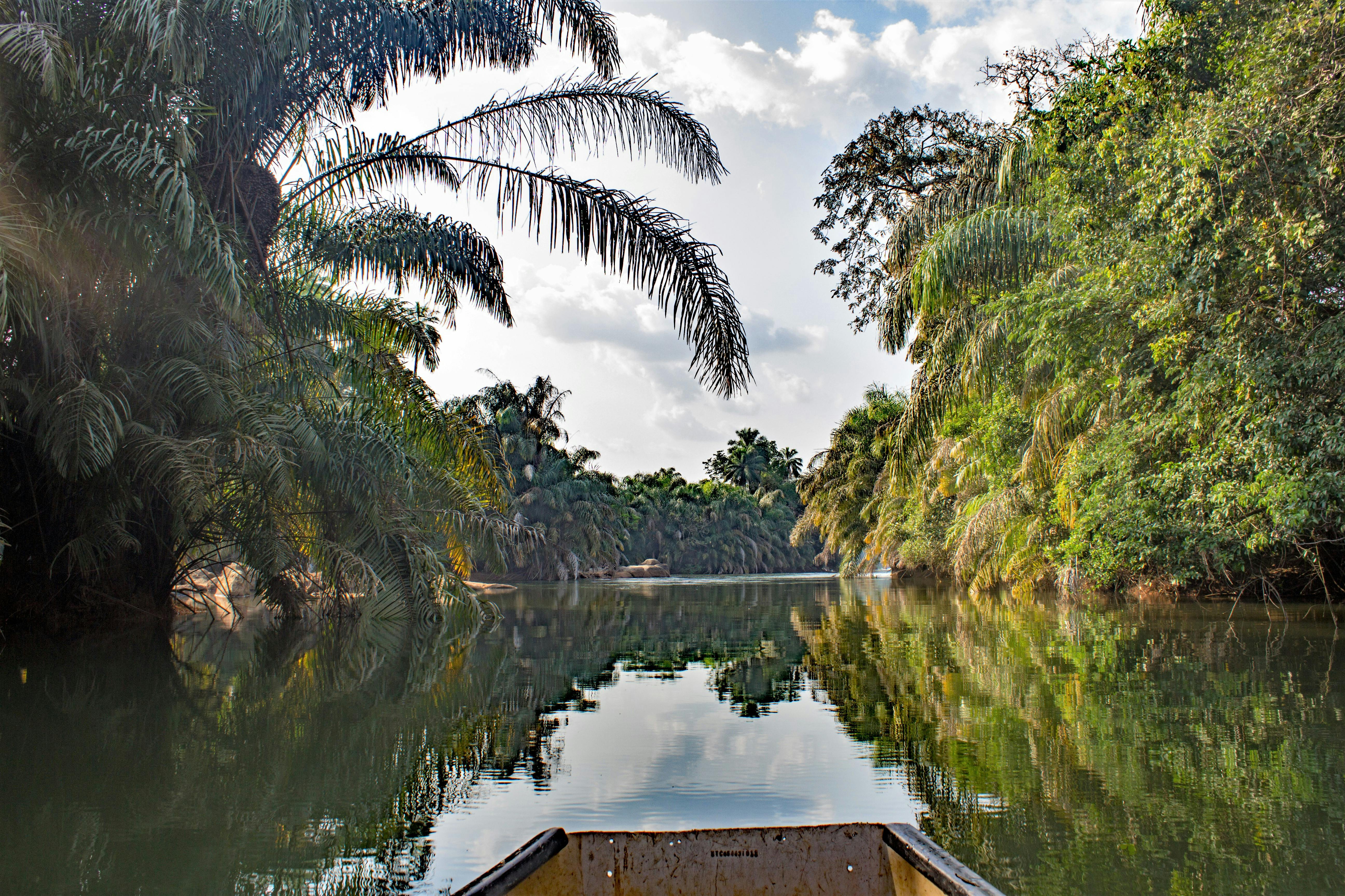 A Fresh Look at Sierra Leone with Helen Jackson