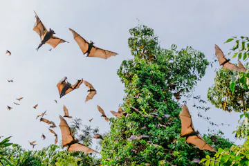 Road journey to Rubavu, northern Lake Kivu 